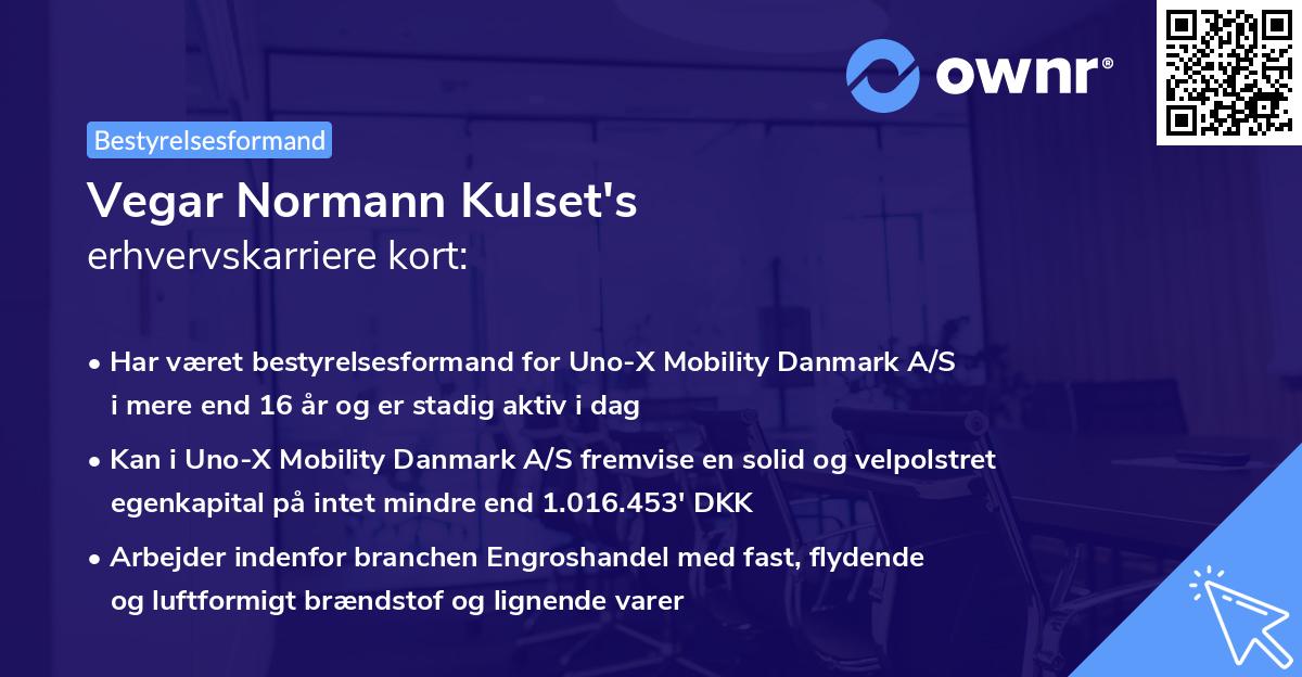 Vegar Normann Kulset's erhvervskarriere kort