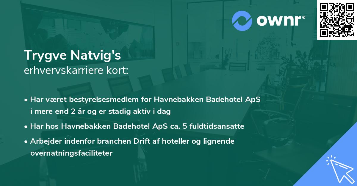 Trygve Natvig's erhvervskarriere kort