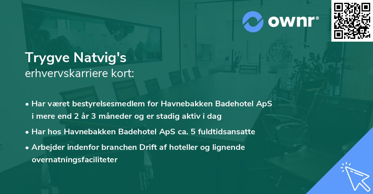Trygve Natvig's erhvervskarriere kort