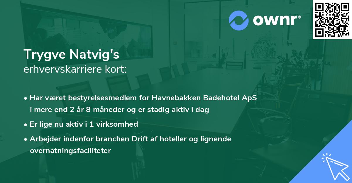 Trygve Natvig's erhvervskarriere kort