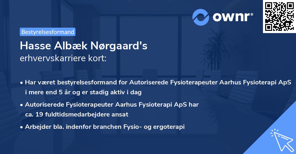 Hasse Albæk Nørgaard's erhvervskarriere kort