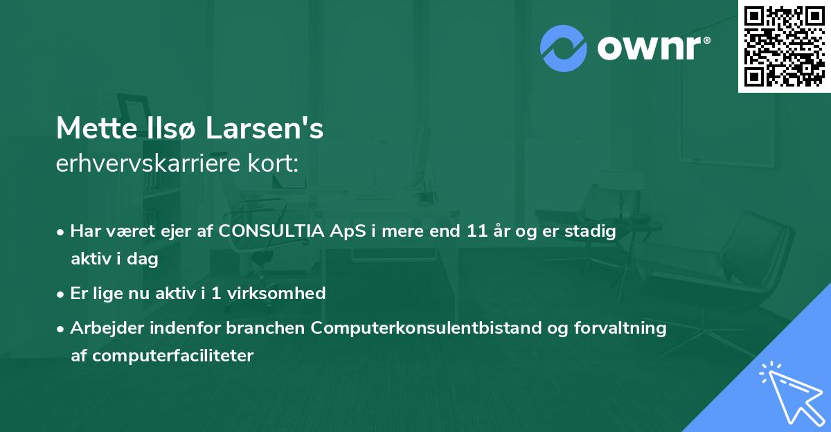 Mette Ilsø Larsen's erhvervskarriere kort