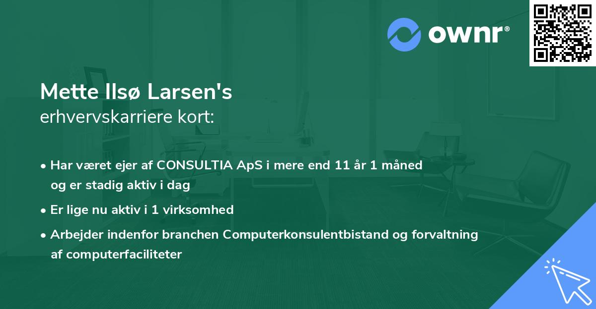 Mette Ilsø Larsen's erhvervskarriere kort