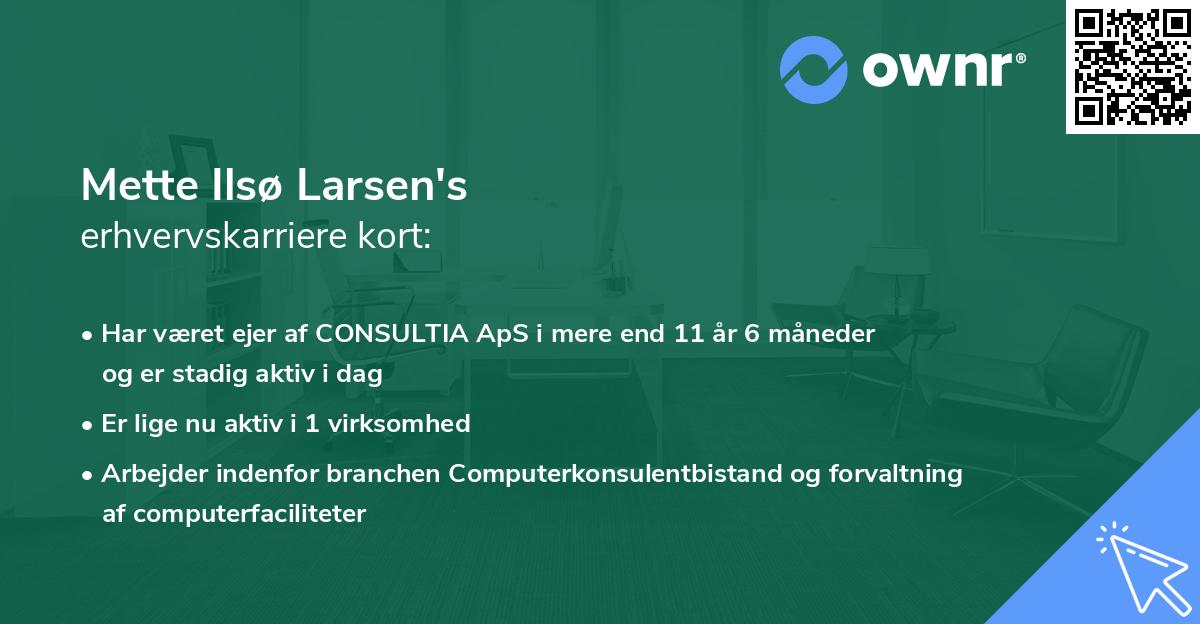 Mette Ilsø Larsen's erhvervskarriere kort