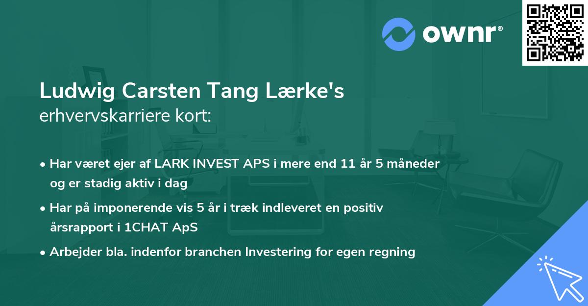 Ludwig Carsten Tang Lærke's erhvervskarriere kort