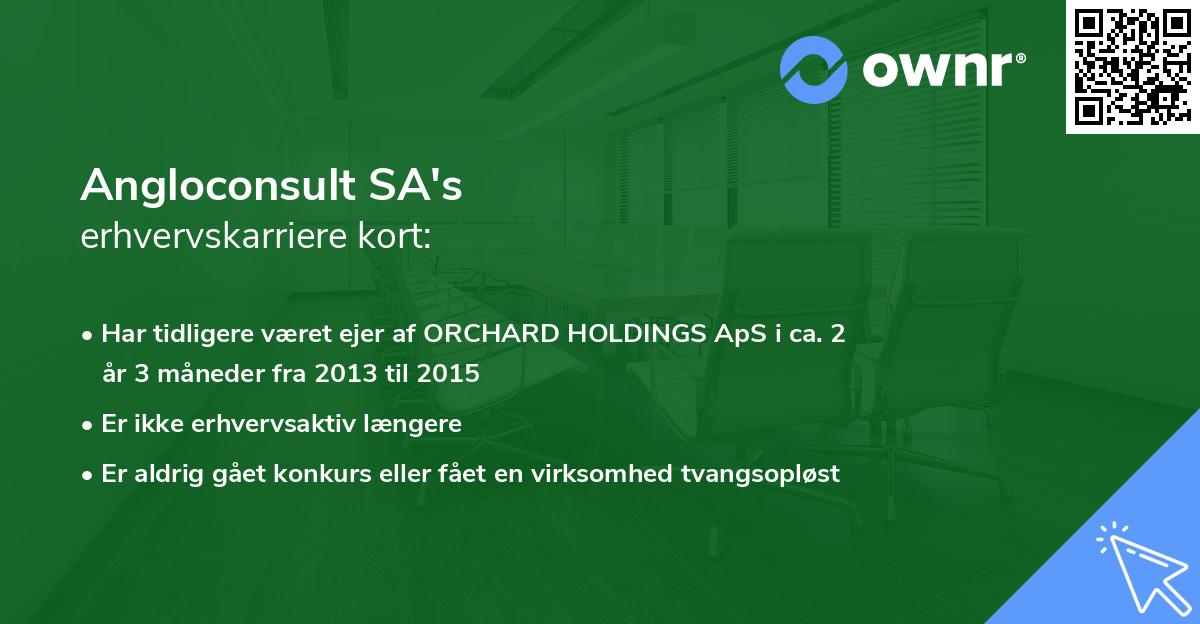 Angloconsult SA's erhvervskarriere kort