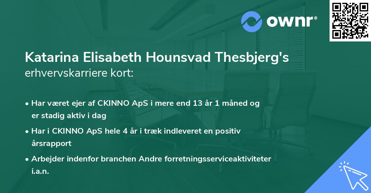 Katarina Elisabeth Hounsvad Thesbjerg's erhvervskarriere kort