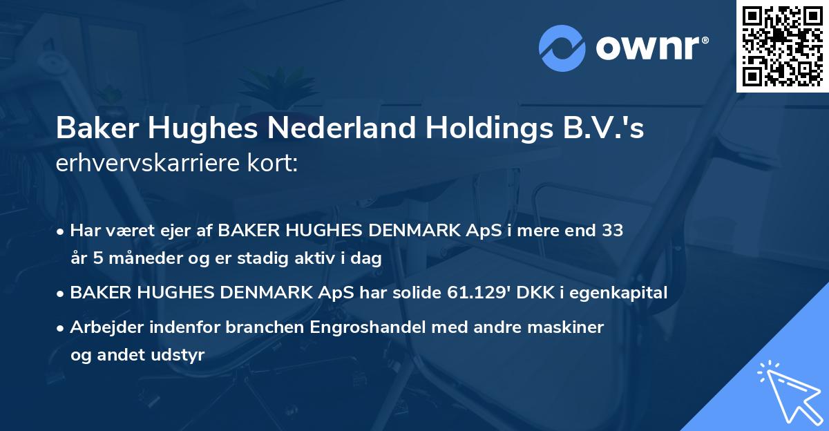 Baker Hughes Nederland Holdings B.V.'s erhvervskarriere kort