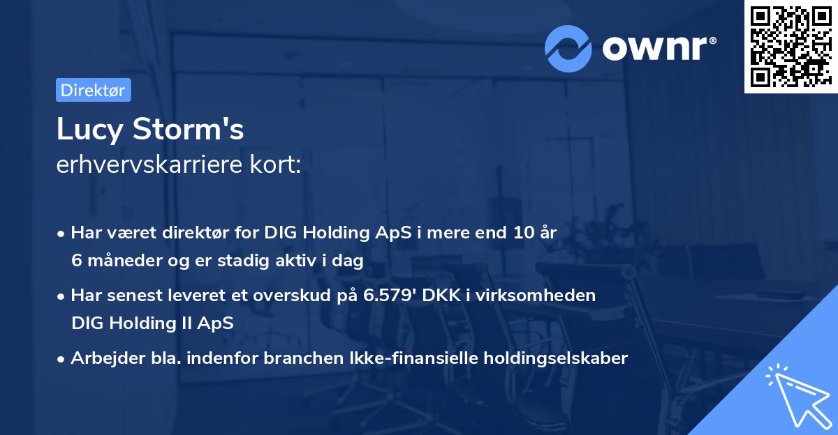 Lucy Storm's erhvervskarriere kort