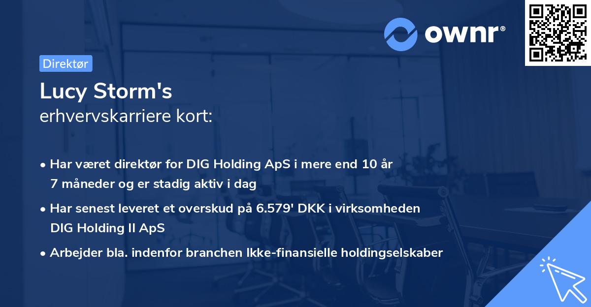 Lucy Storm's erhvervskarriere kort
