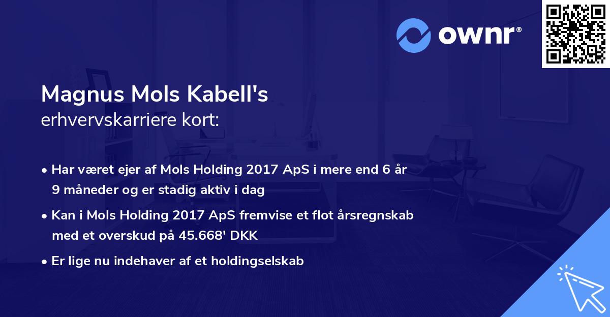 Magnus Mols Kabell's erhvervskarriere kort