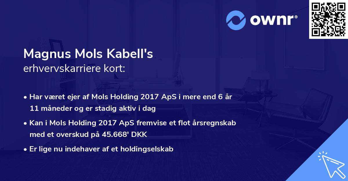 Magnus Mols Kabell's erhvervskarriere kort