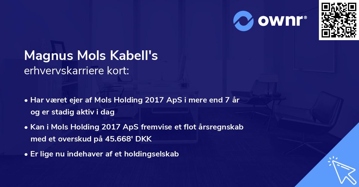 Magnus Mols Kabell's erhvervskarriere kort