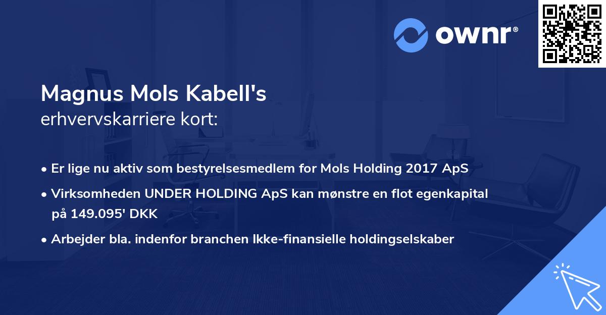 Magnus Mols Kabell's erhvervskarriere kort