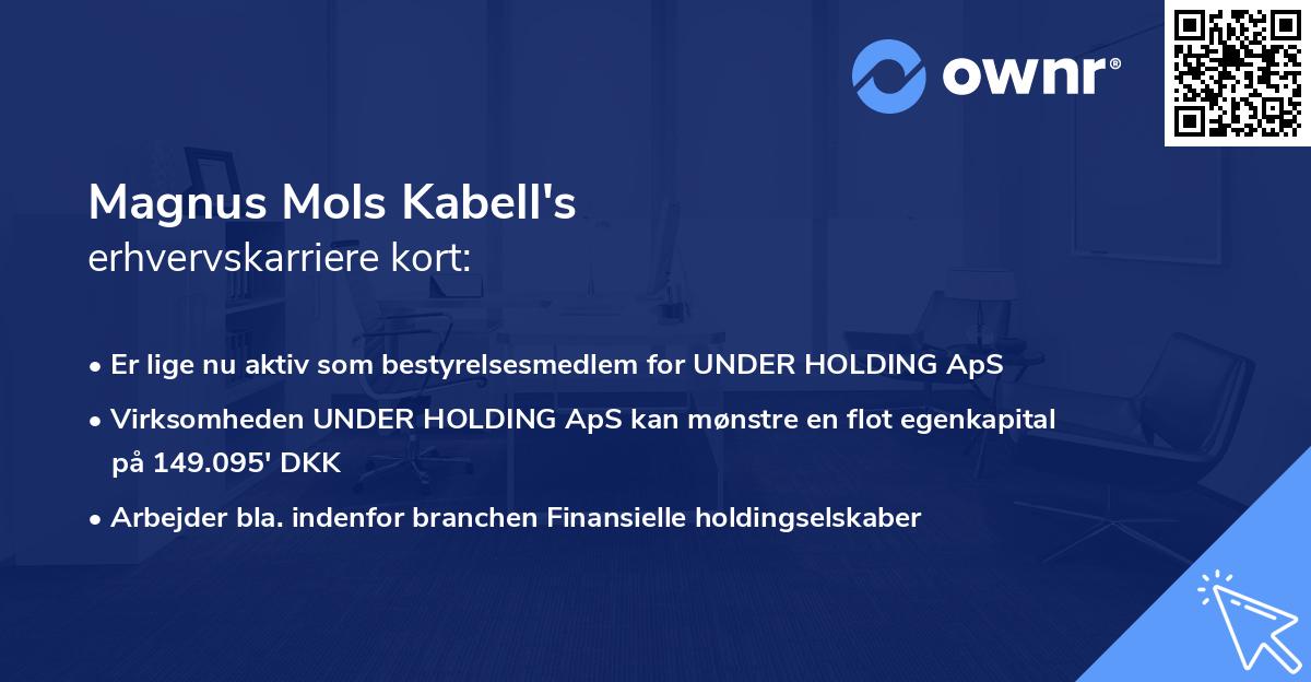 Magnus Mols Kabell's erhvervskarriere kort
