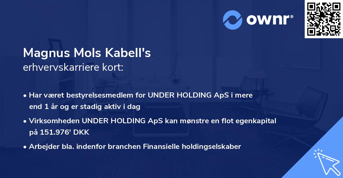Magnus Mols Kabell's erhvervskarriere kort