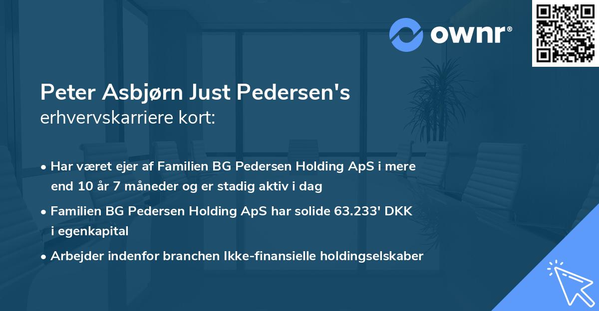 Peter Asbjørn Just Pedersen's erhvervskarriere kort