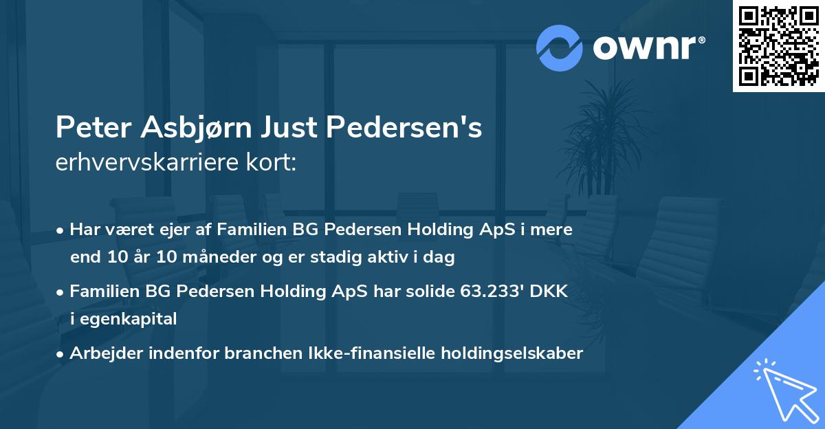 Peter Asbjørn Just Pedersen's erhvervskarriere kort