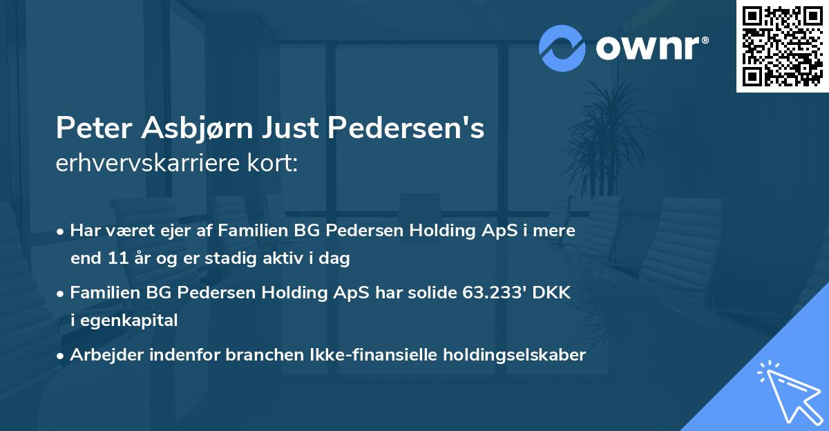 Peter Asbjørn Just Pedersen's erhvervskarriere kort