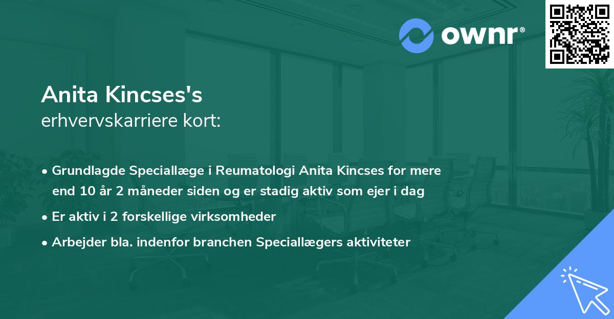 Anita Kincses's erhvervskarriere kort