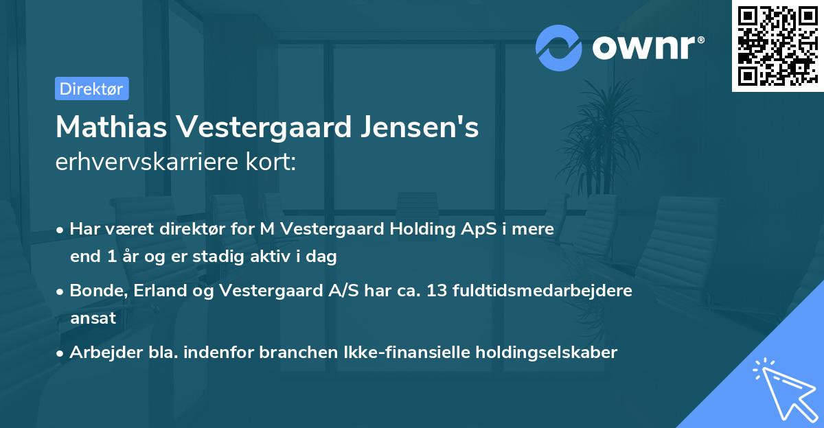 Mathias Vestergaard Jensen's erhvervskarriere kort