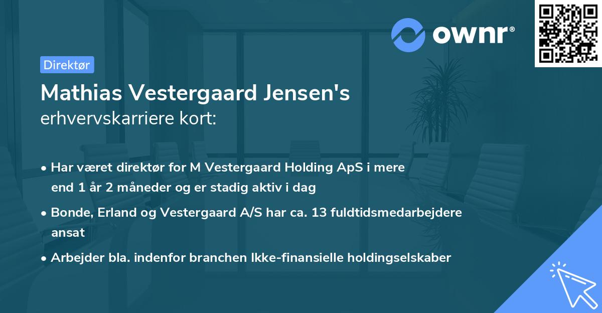 Mathias Vestergaard Jensen's erhvervskarriere kort