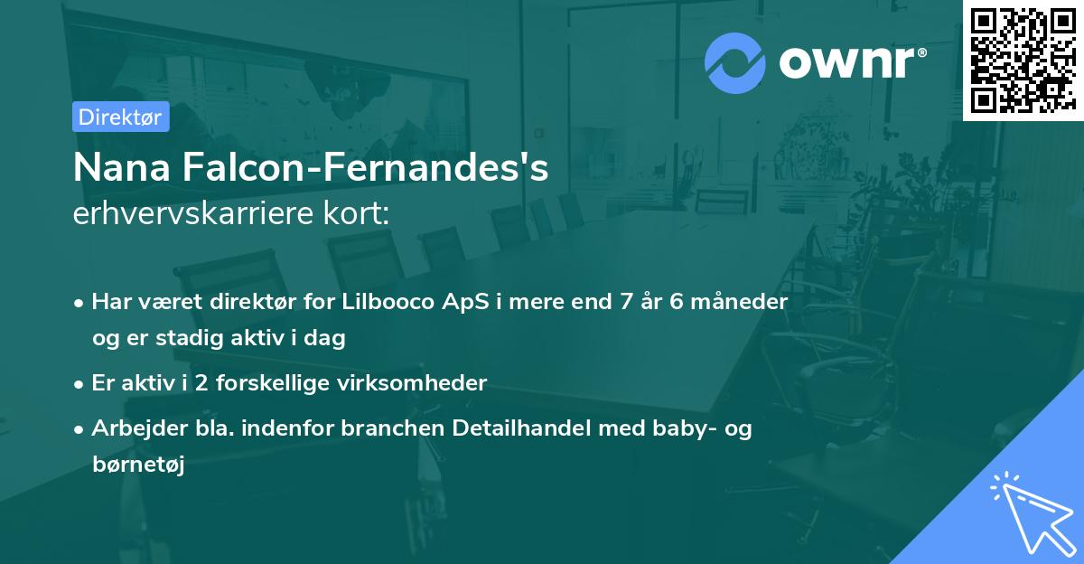 Nana Falcon-Fernandes's erhvervskarriere kort