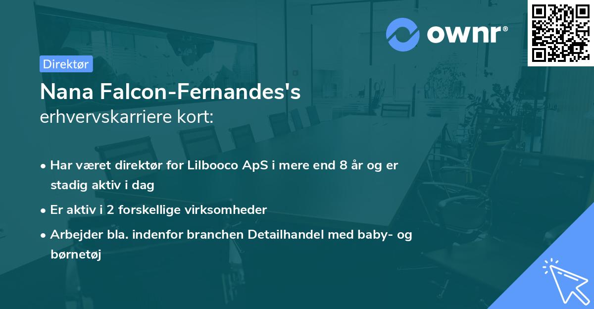 Nana Falcon-Fernandes's erhvervskarriere kort