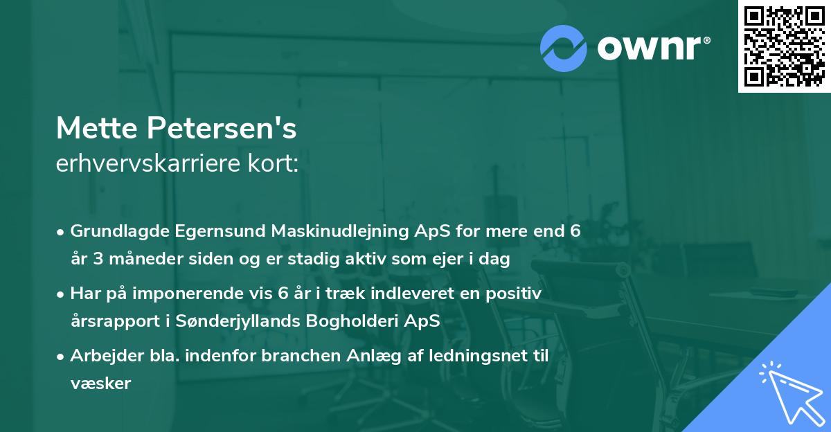 Mette Petersen's erhvervskarriere kort