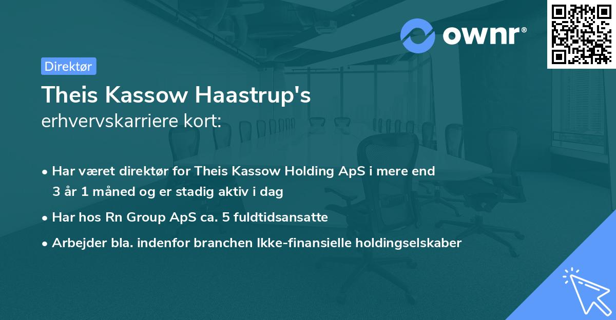 Theis Kassow Haastrup's erhvervskarriere kort