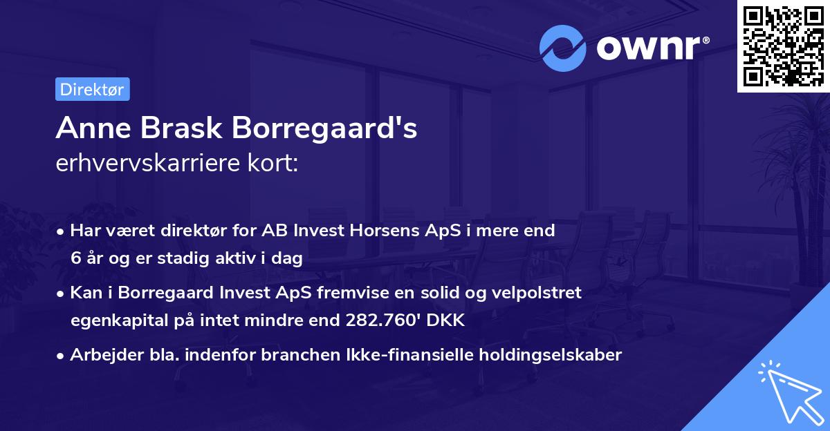 Anne Brask Borregaard's erhvervskarriere kort