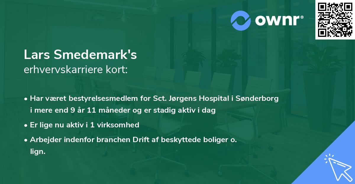Lars Smedemark's erhvervskarriere kort
