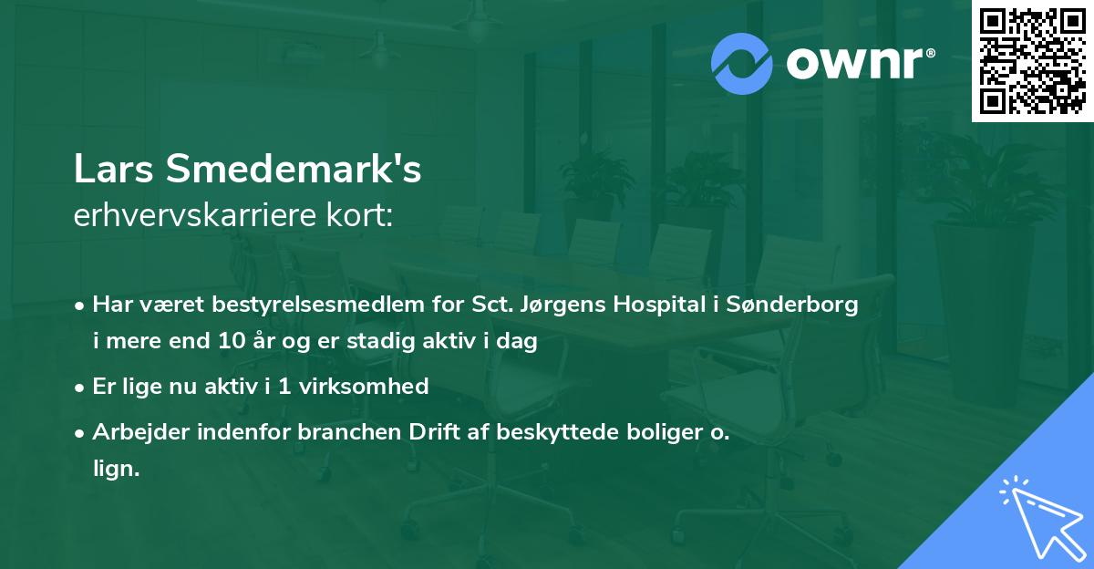Lars Smedemark's erhvervskarriere kort