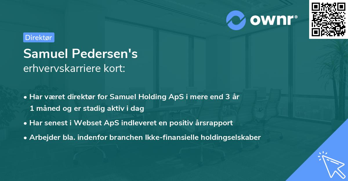 Samuel Pedersen's erhvervskarriere kort