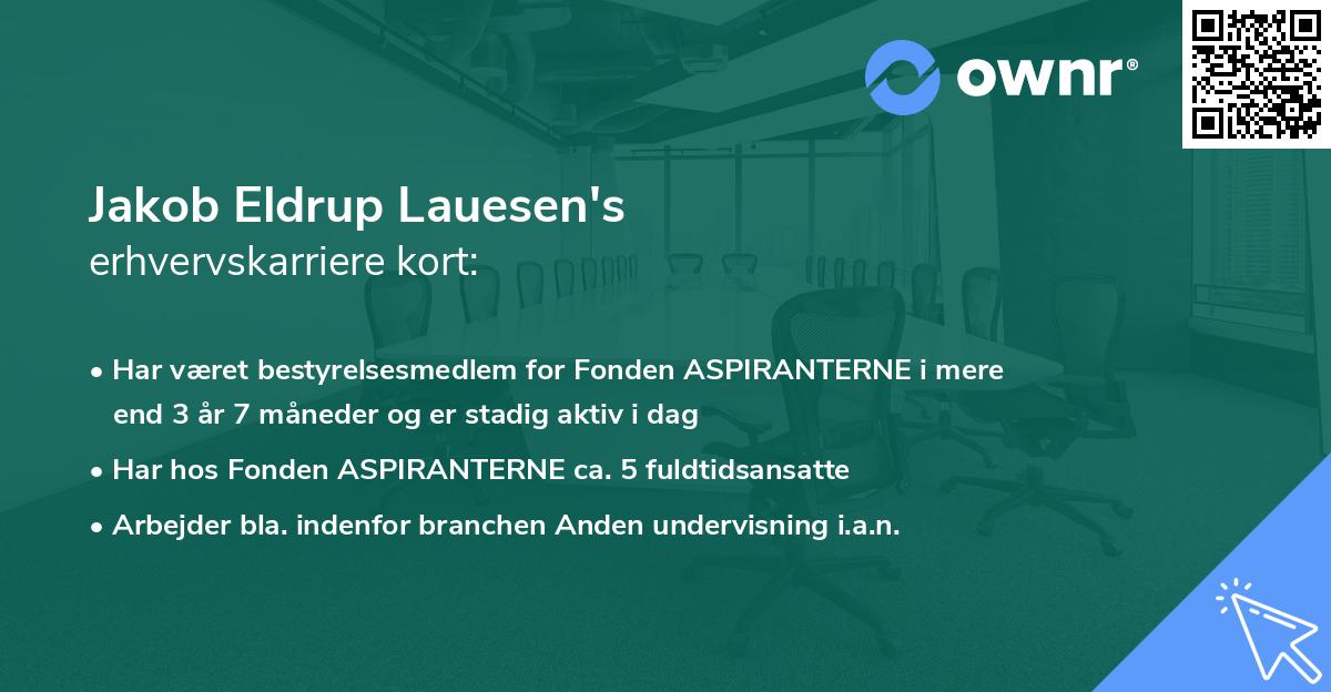 Jakob Eldrup Lauesen's erhvervskarriere kort