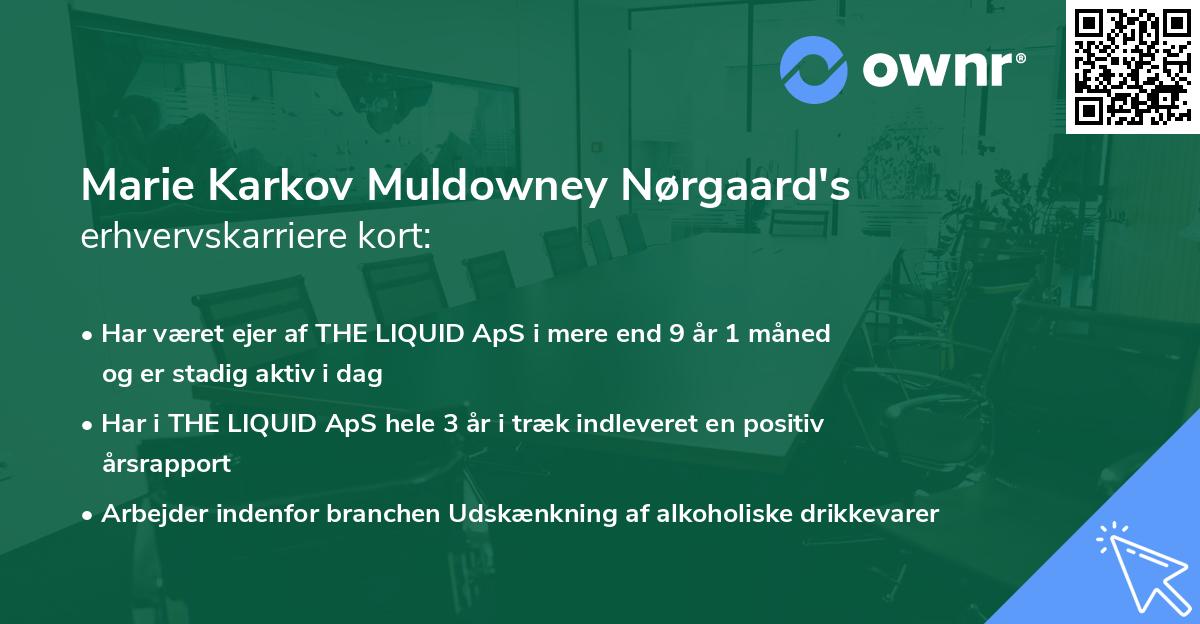 Marie Karkov Muldowney Nørgaard's erhvervskarriere kort
