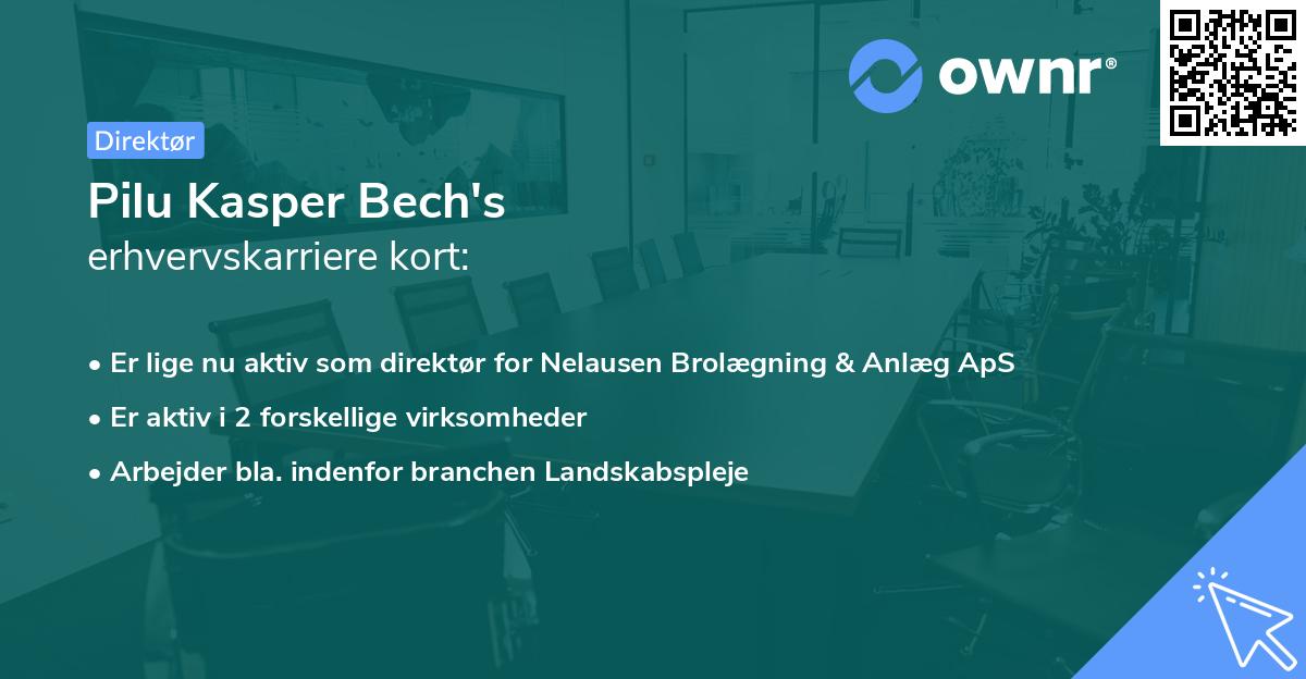 Pilu Kasper Bech's erhvervskarriere kort