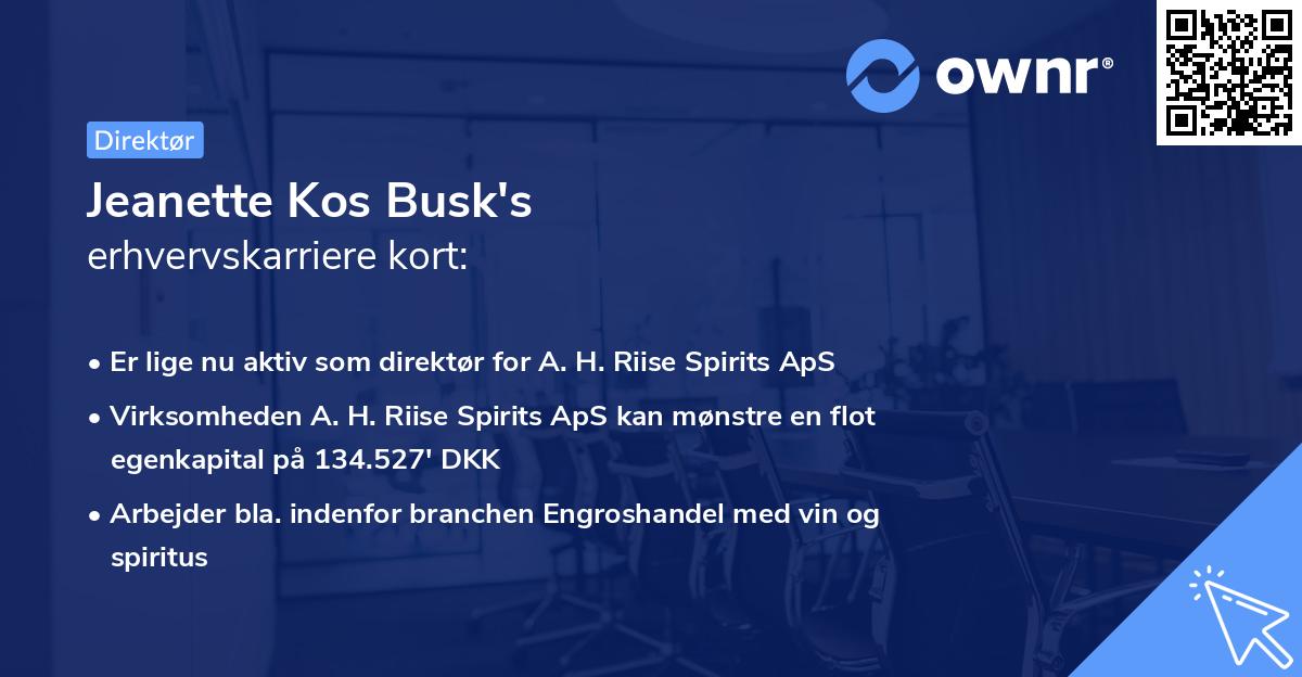 Jeanette Kos Busk's erhvervskarriere kort