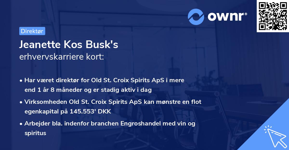 Jeanette Kos Busk's erhvervskarriere kort