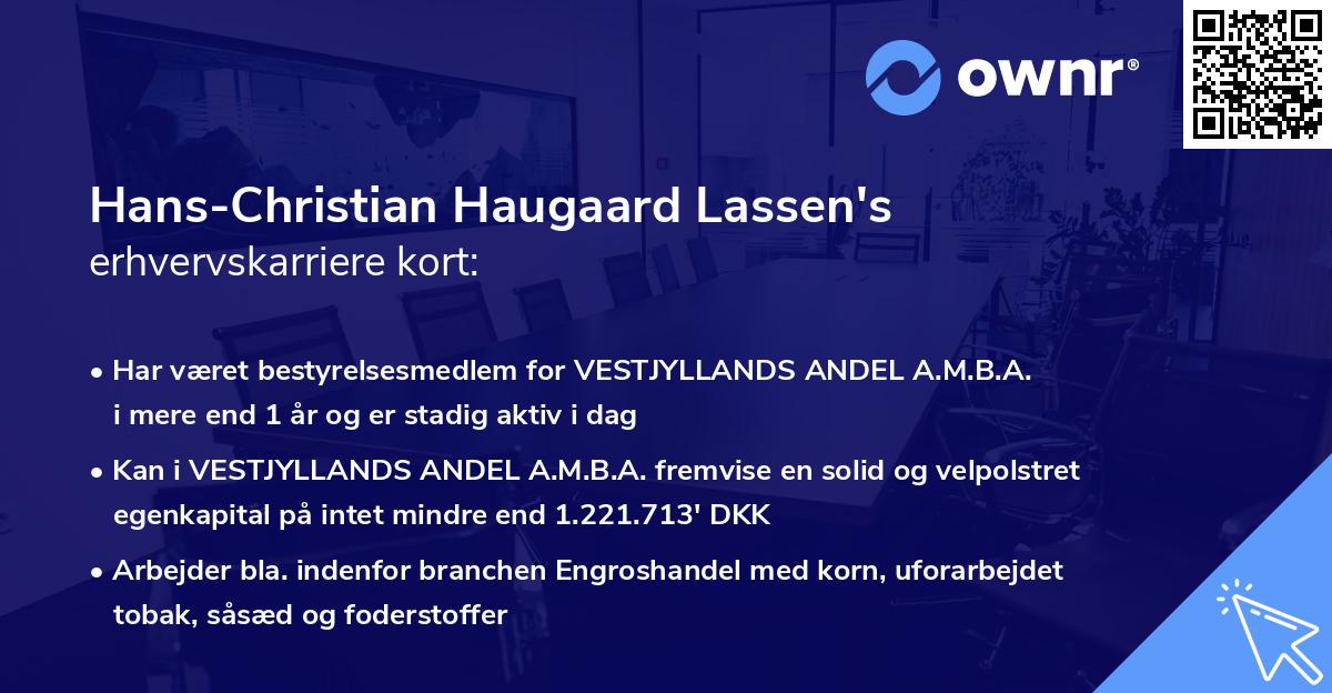 Hans-Christian Haugaard Lassen's erhvervskarriere kort