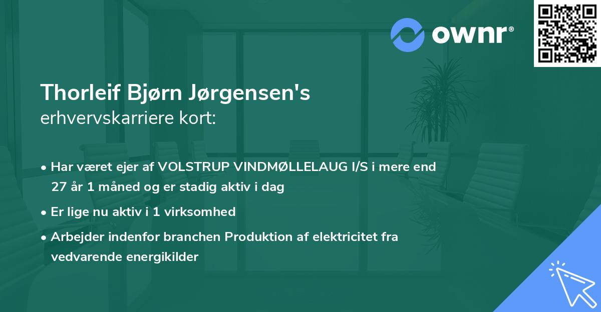 Thorleif Bjørn Jørgensen's erhvervskarriere kort