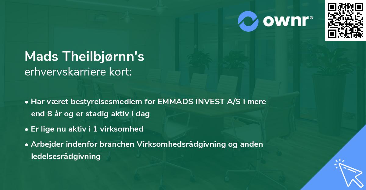 Mads Theilbjørnn's erhvervskarriere kort