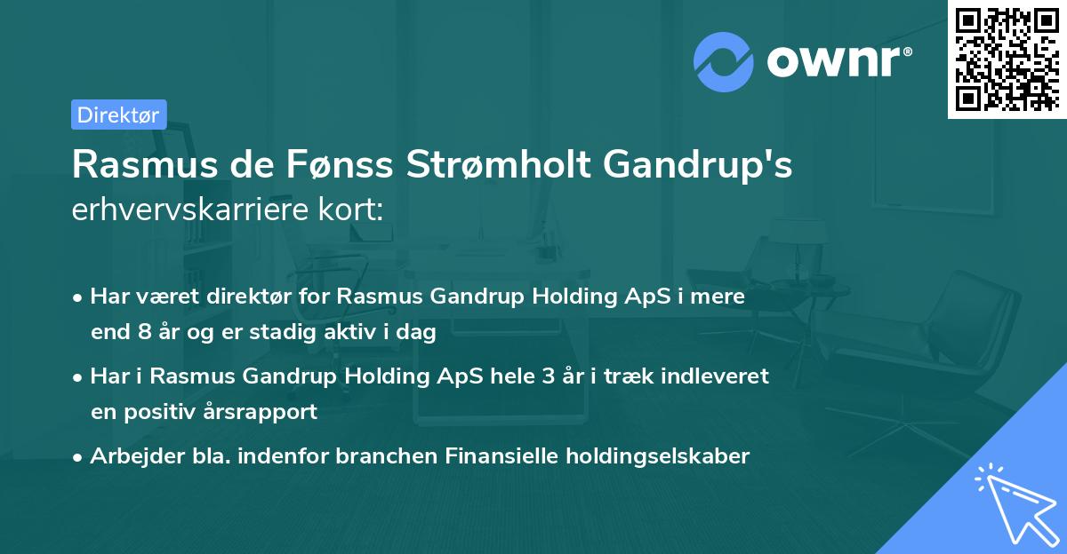 Rasmus de Fønss Strømholt Gandrup's erhvervskarriere kort
