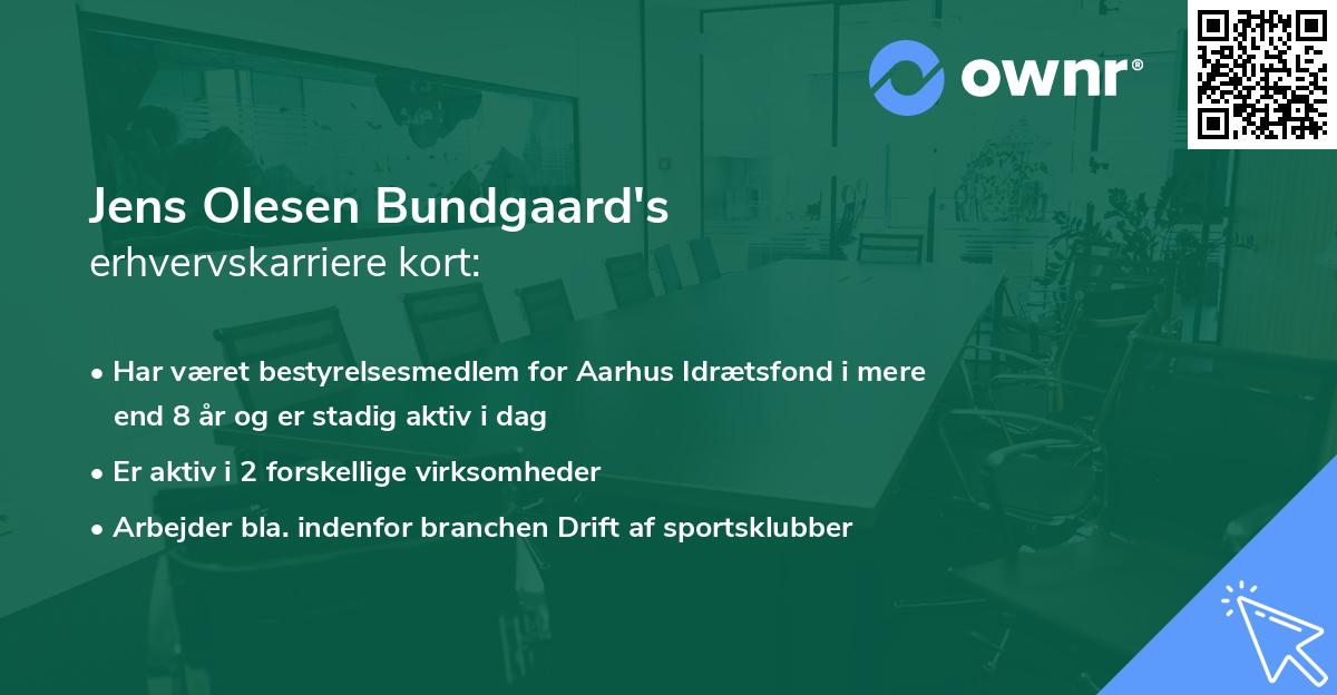 Jens Olesen Bundgaard's erhvervskarriere kort
