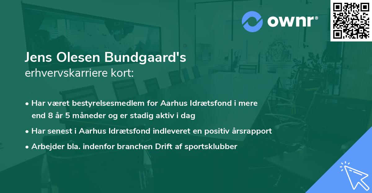 Jens Olesen Bundgaard's erhvervskarriere kort