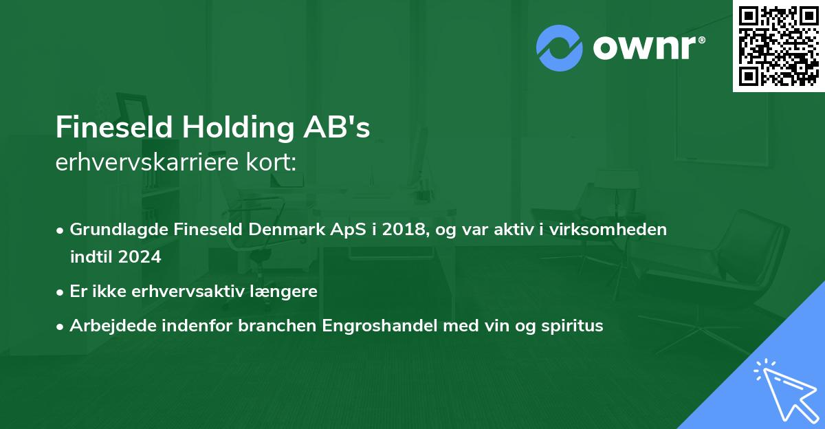 Fineseld Holding AB's erhvervskarriere kort