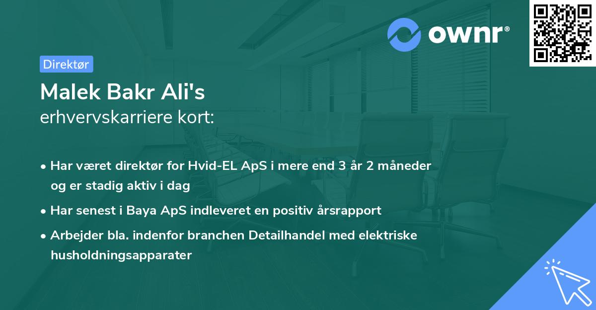Malek Bakr Ali's erhvervskarriere kort