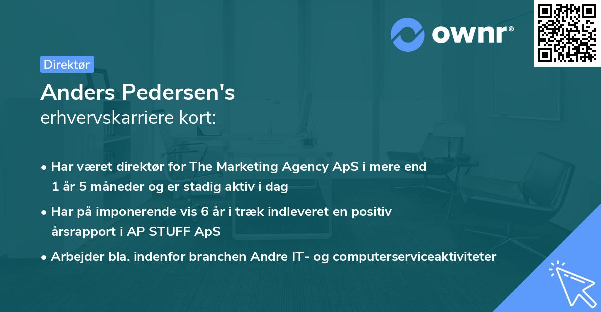 Anders Pedersen's erhvervskarriere kort