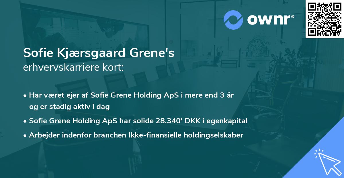 Sofie Kjærsgaard Grene's erhvervskarriere kort