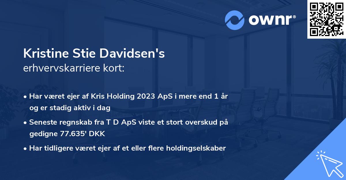 Kristine Stie Davidsen's erhvervskarriere kort